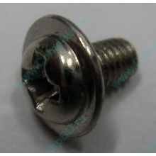 Компьютерный винт "малый" PW-M3x6mm (Воронеж)