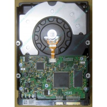 HDD Sun 500G 500Gb в Воронеже, FRU 540-7889-01 в Воронеже, BASE 390-0383-04 в Воронеже, AssyID 0069FMT-1010 в Воронеже, HUA7250SBSUN500G (Воронеж)