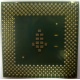 Процессор Intel Celeron 1000A SL5ZF (1000MHz /256kb /100MHz /1.475 V) s370 (Воронеж)