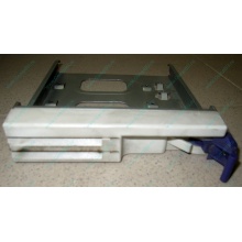 Салазки RID014020 для SCSI HDD (Воронеж)