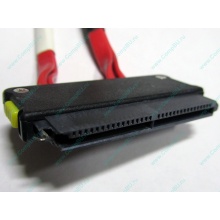SATA-кабель для корзины HDD HP 451782-001 459190-001 для HP ML310 G5 (Воронеж)