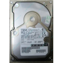 Жесткий диск 18.2Gb IBM Ultrastar DDYS-T18350 Ultra3 SCSI (Воронеж)