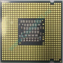 Процессор Intel Celeron Dual Core E1200 (2x1.6GHz) SLAQW socket 775 (Воронеж)