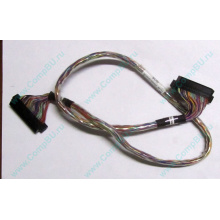 6017B0045301 в Воронеже, 68pin SCSI кабель 26.5" / 57cm для корзины HDD Intel SR2400 (Воронеж)