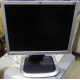 Монитор 19" HP L1950g KR145A 5:4 (Воронеж)