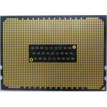 AMD Opteron 6128 OS6128WKT8EGO (Воронеж)