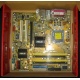 Материнская плата Asus P5L-VM 1394 s.775 (Воронеж)
